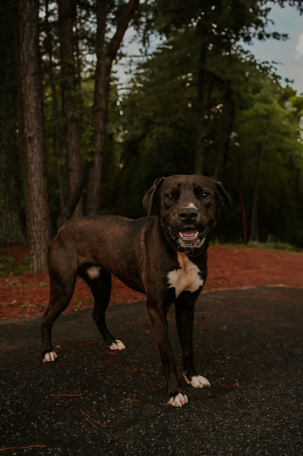 25-03-0776 Duke