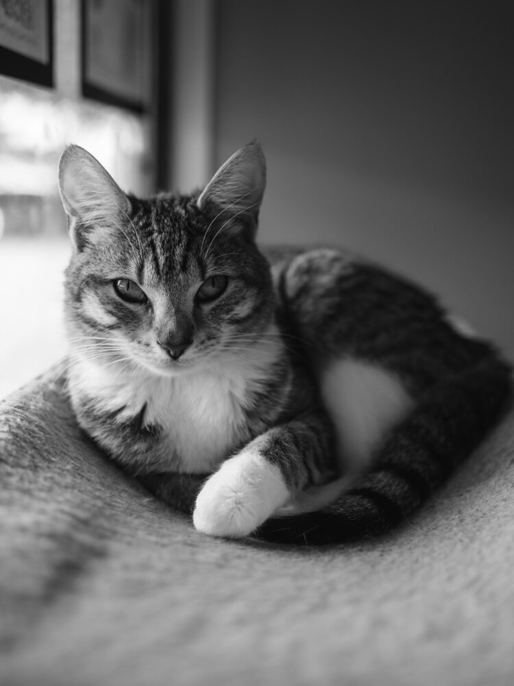 Queenie
