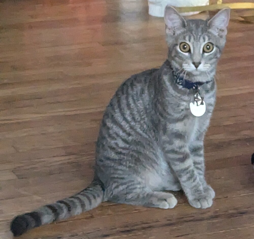 Debbie (24-122 C)