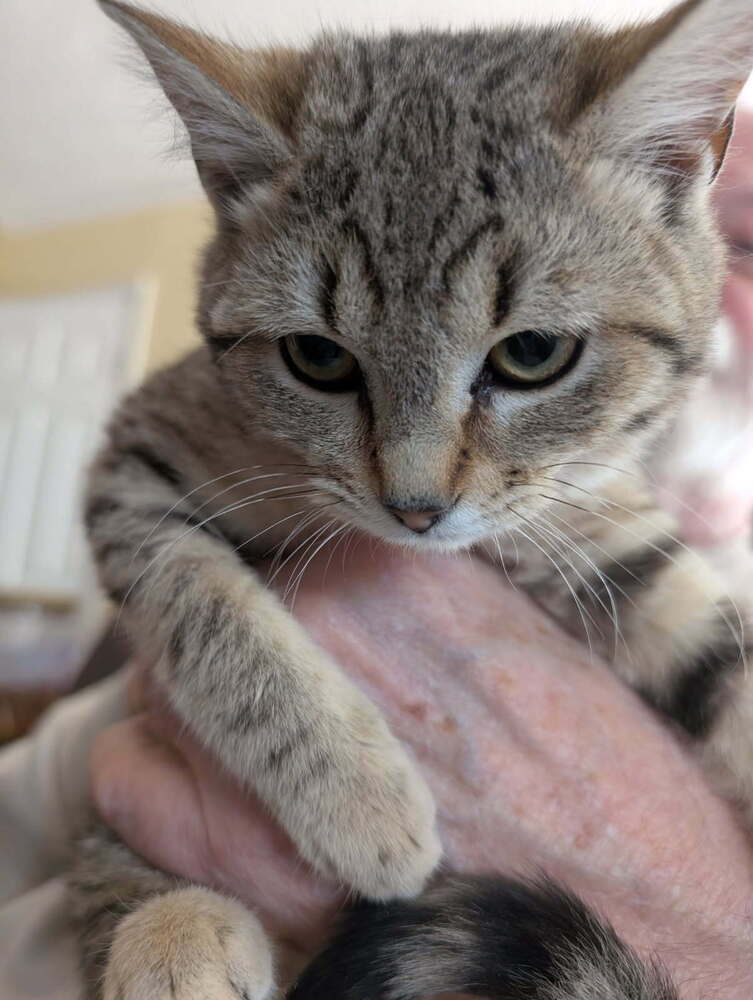 Eloise