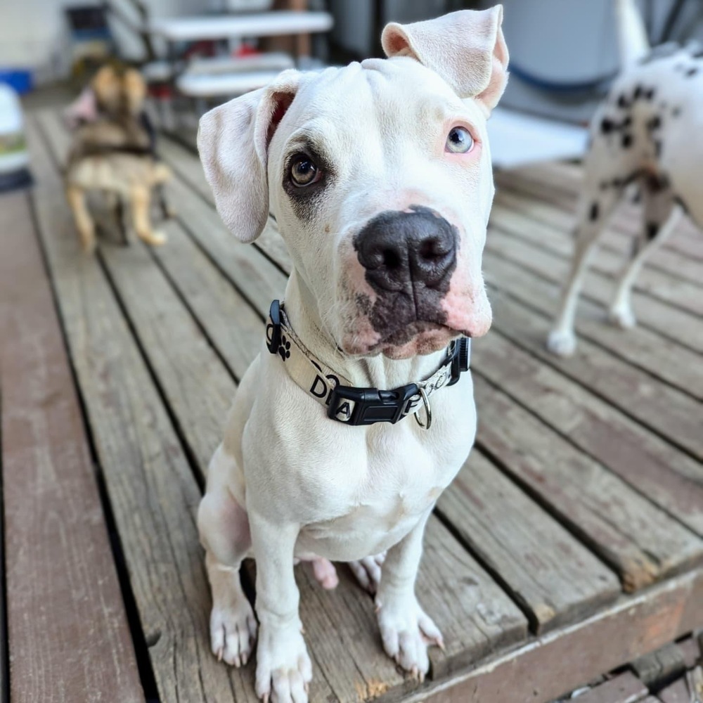 Roscoe
