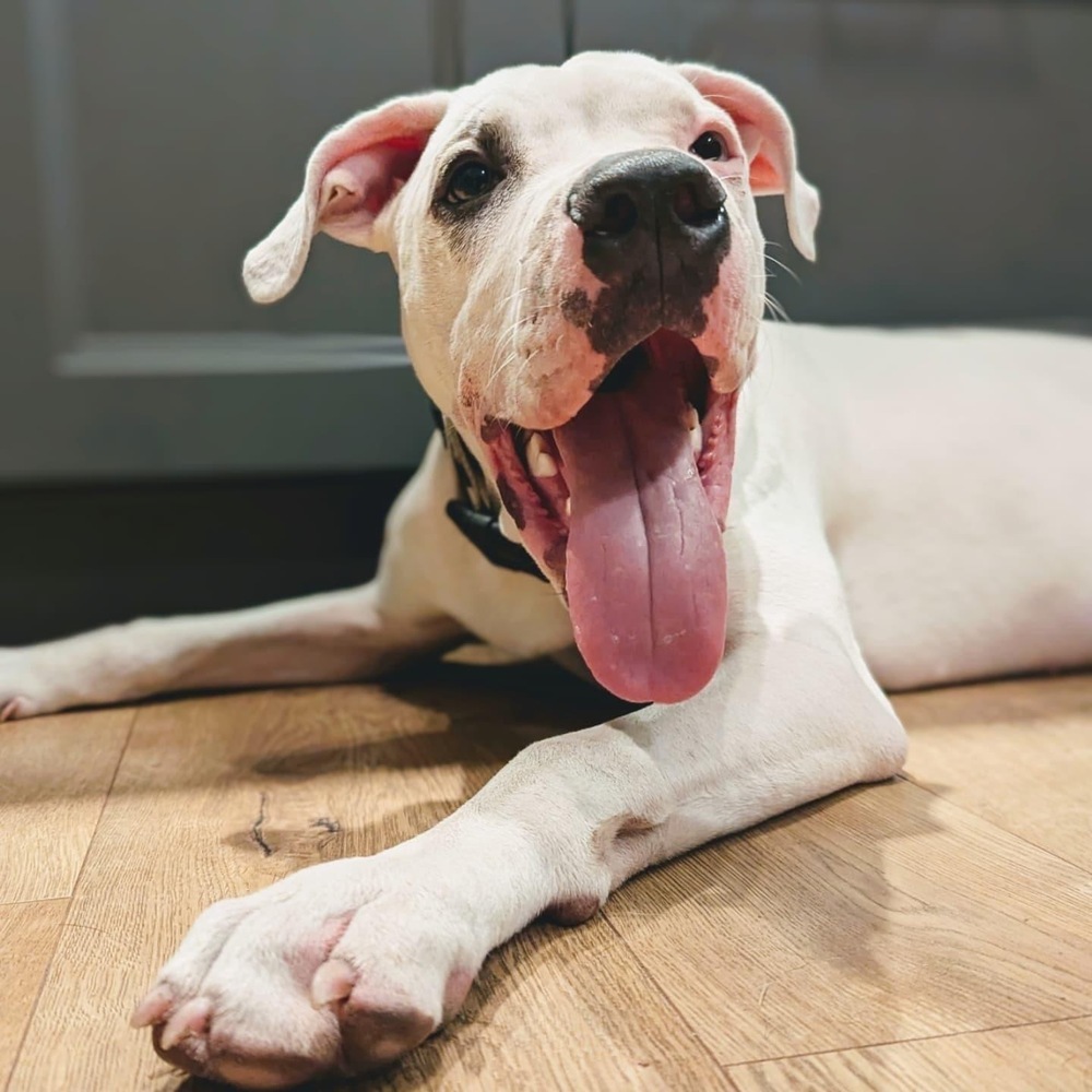 Roscoe
