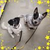 Lisa & Teddy Bonded Pair photo 3