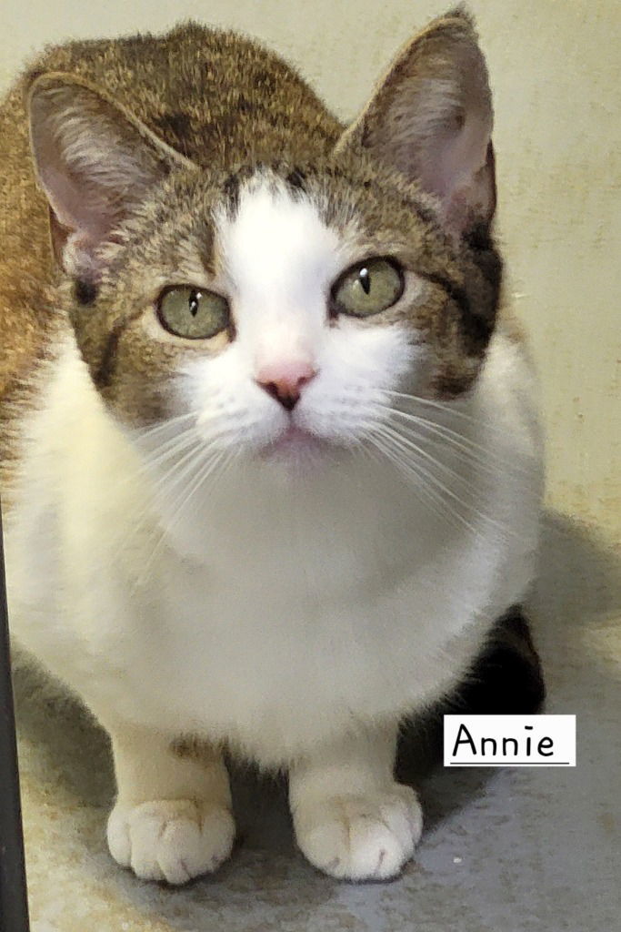 Annie