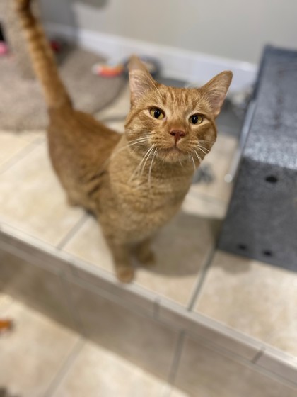 Tigger