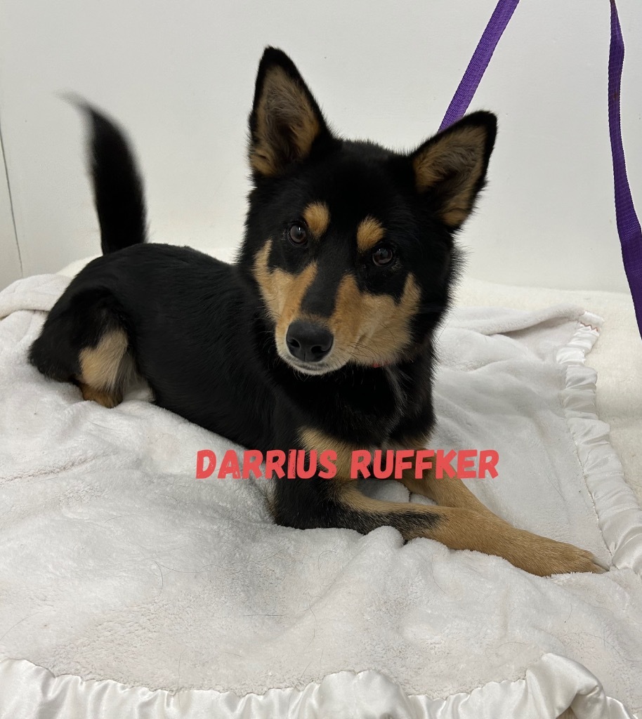 Darrius Ruffker