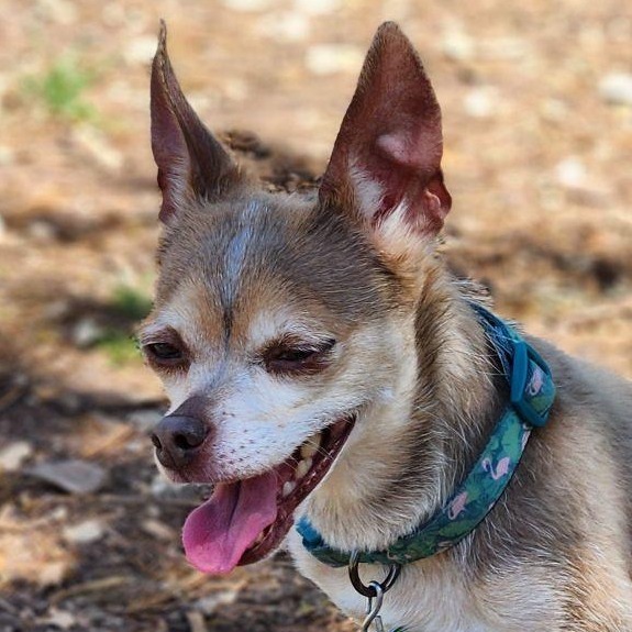 Coco