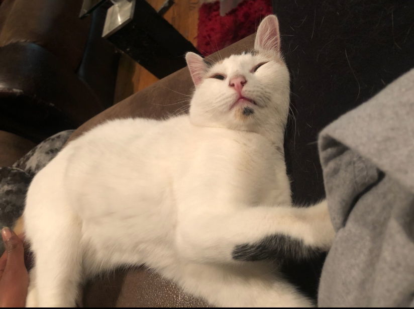 Tickle
