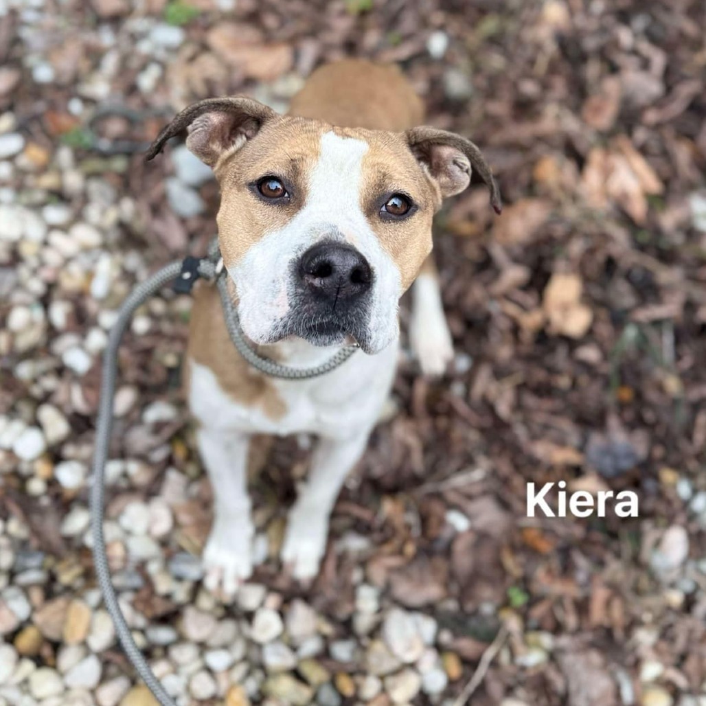 Kiera