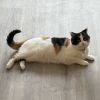 Lucy photo 2
