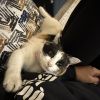 Lucy photo 3