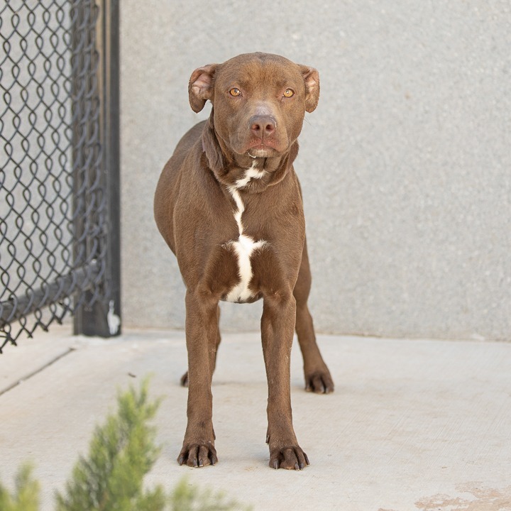 Athena Photo