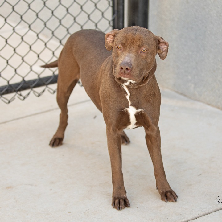 Athena Photo