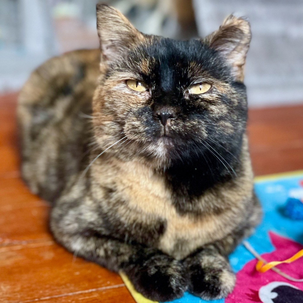 Linda