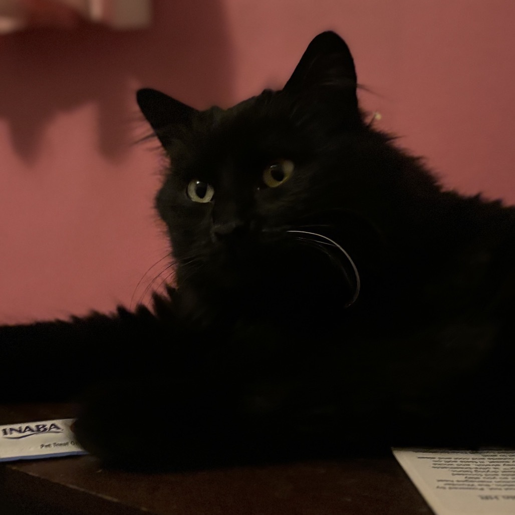Winnie