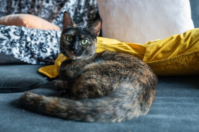 Magda