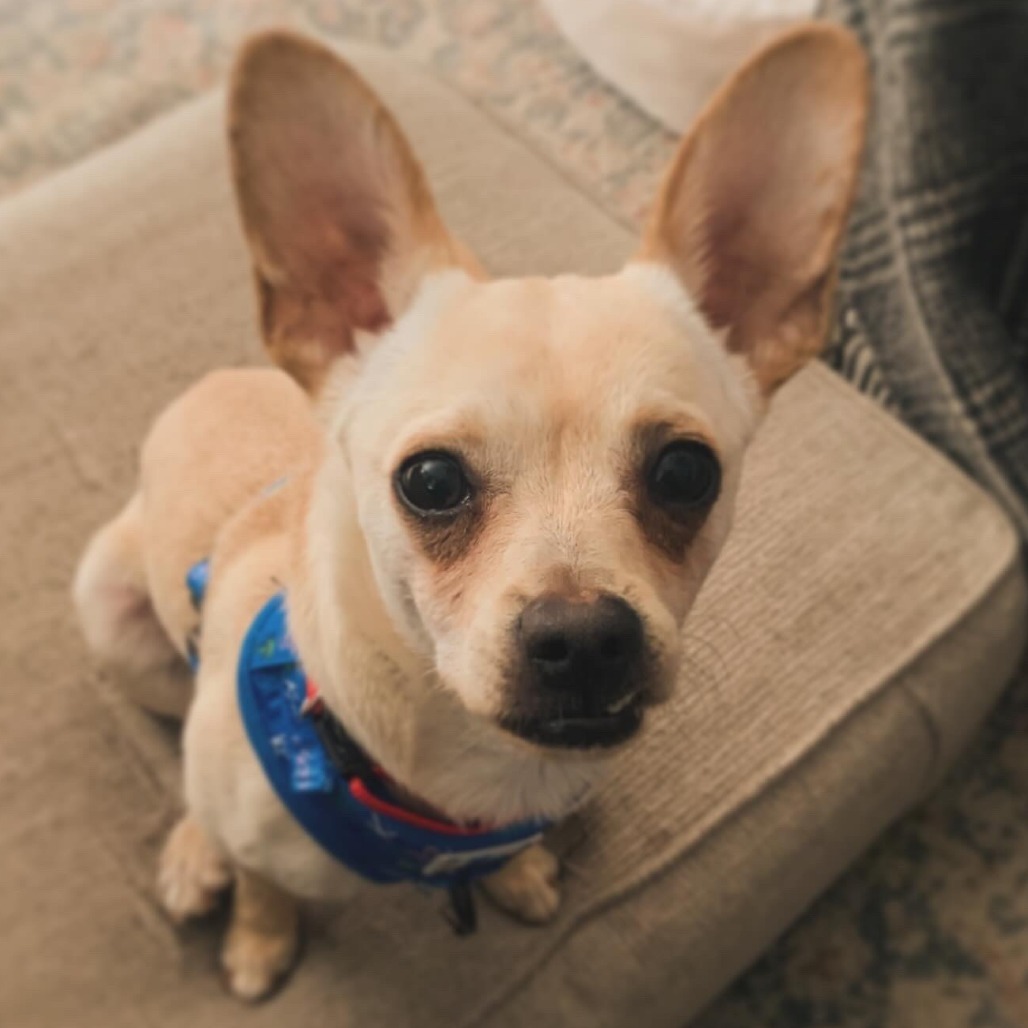 Kenneth (In Foster)