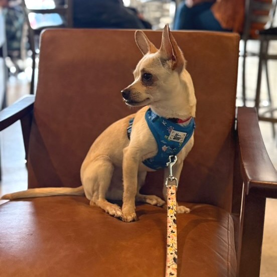 Kenneth (In Foster)
