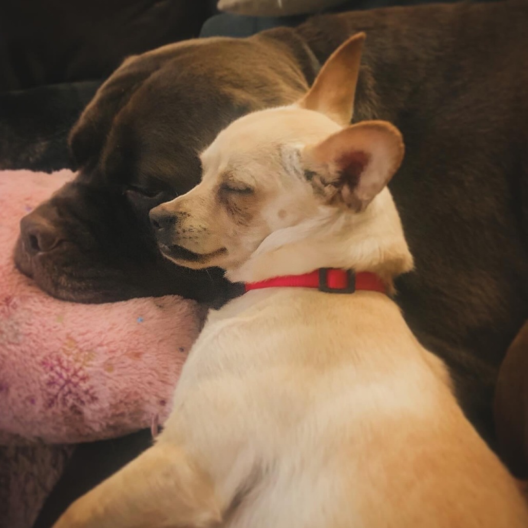 Kenneth (In Foster)