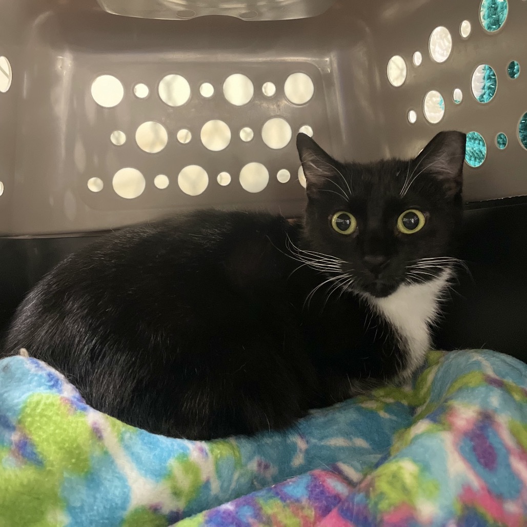 Delilah