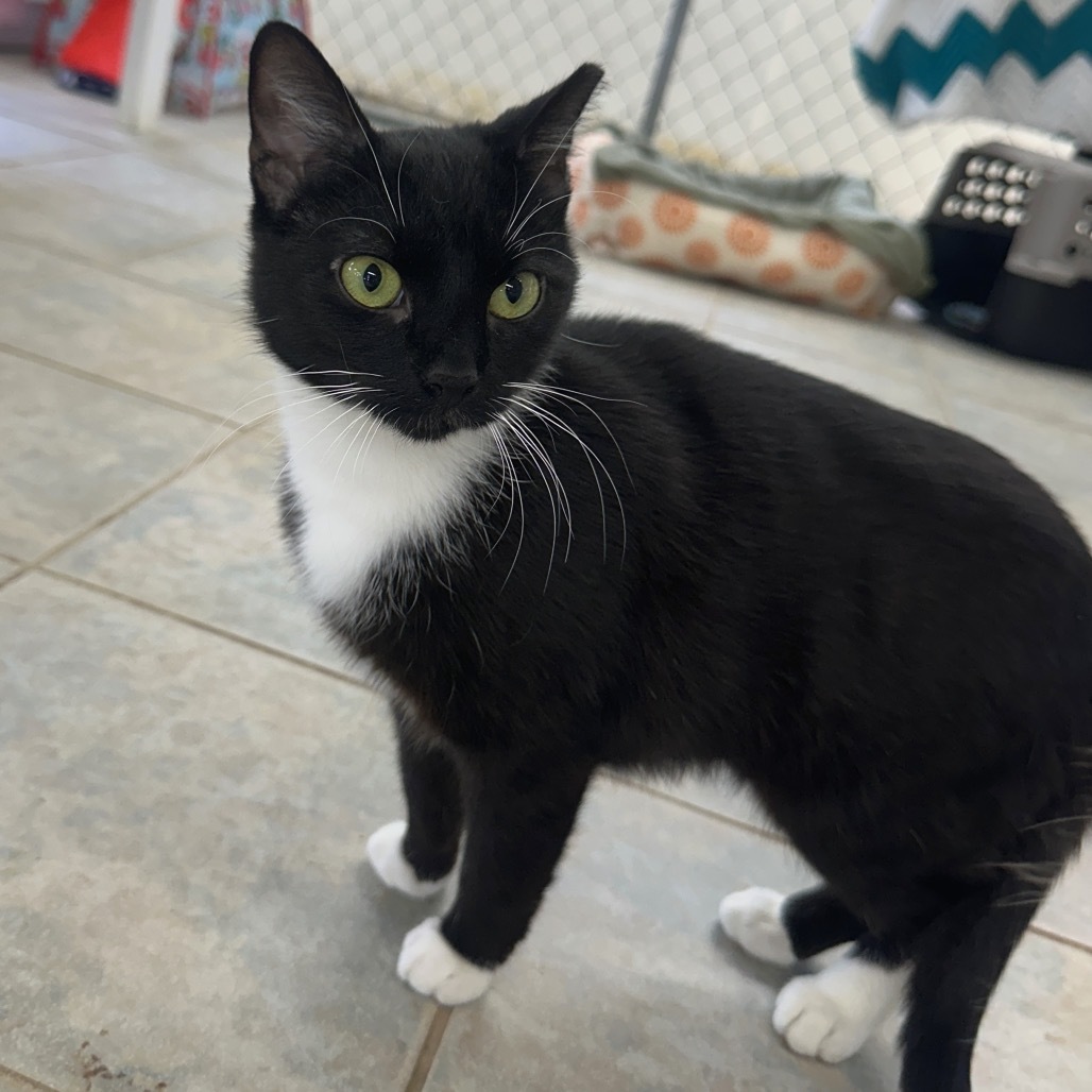 Delilah