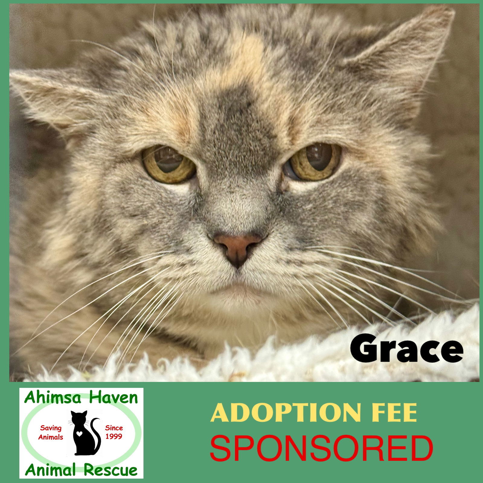 Grace