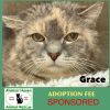 Grace photo 1