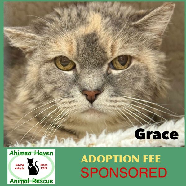 Grace photo 1