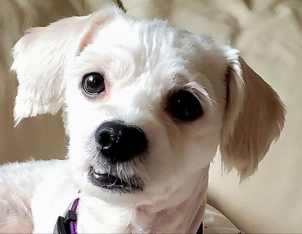 Ernie thumbnail 1