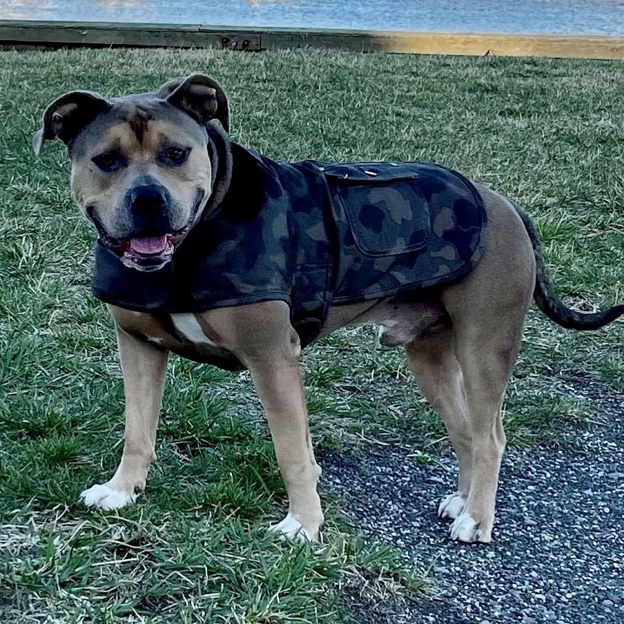 Sam