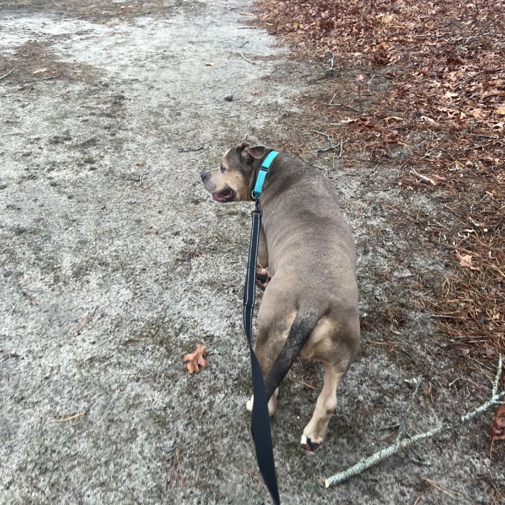 Sam