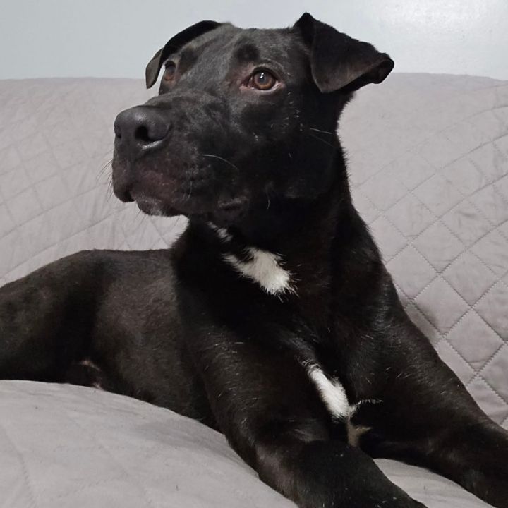 Axel 2