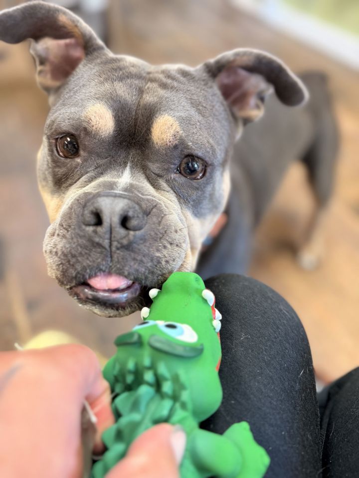Fiona 2