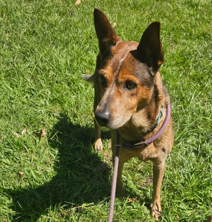 Lenny 3