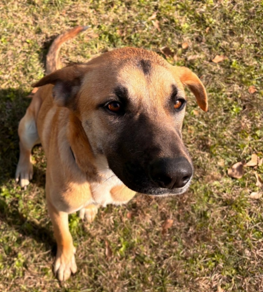 Jax