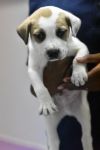 Hiro photo 2