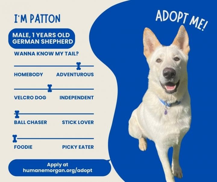 Patton 3