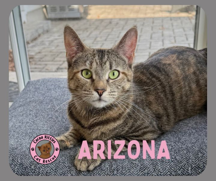 Arizona 2