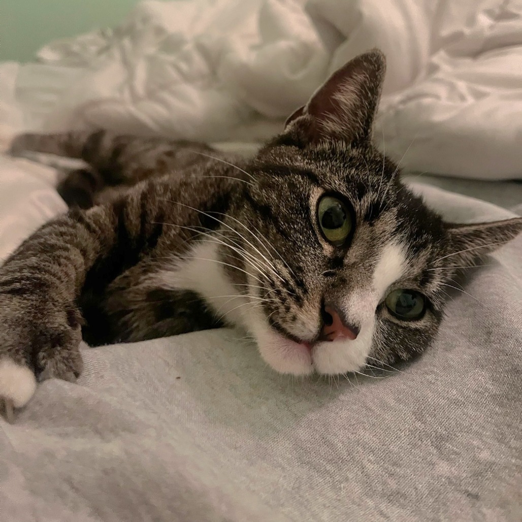 Frankie
