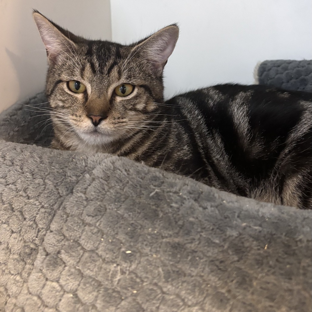 Tom
