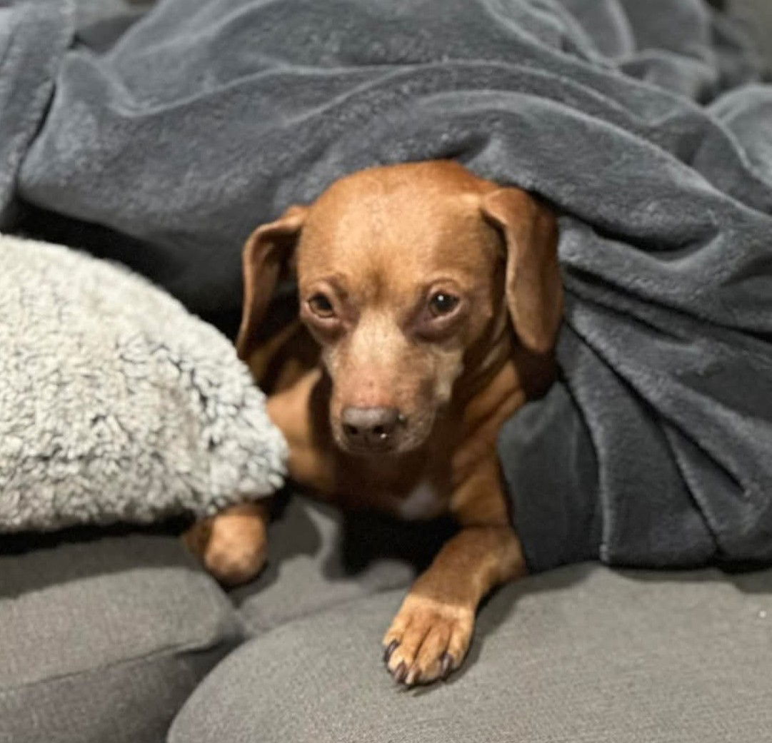 Adam - Adorable!