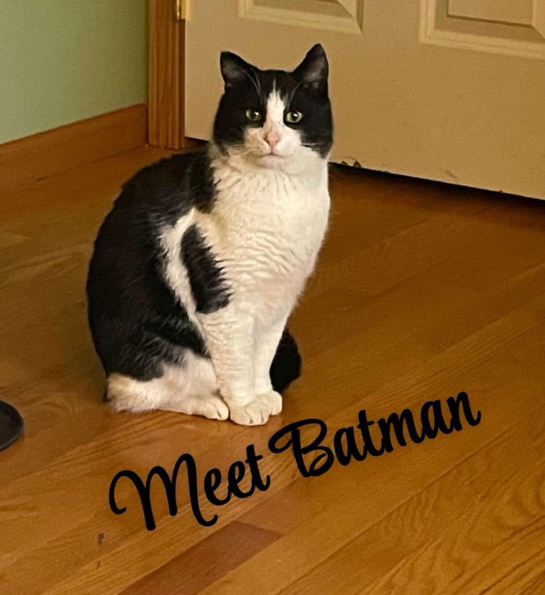 Batman
