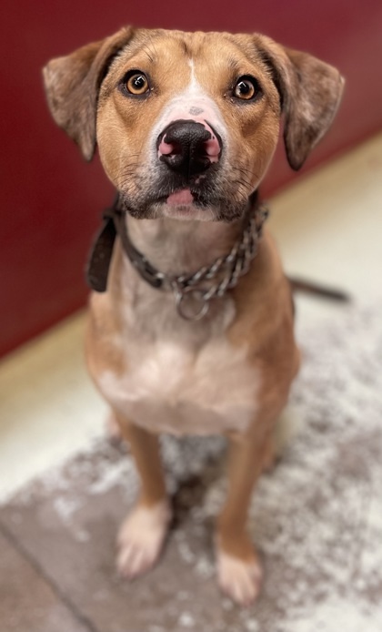 Duke