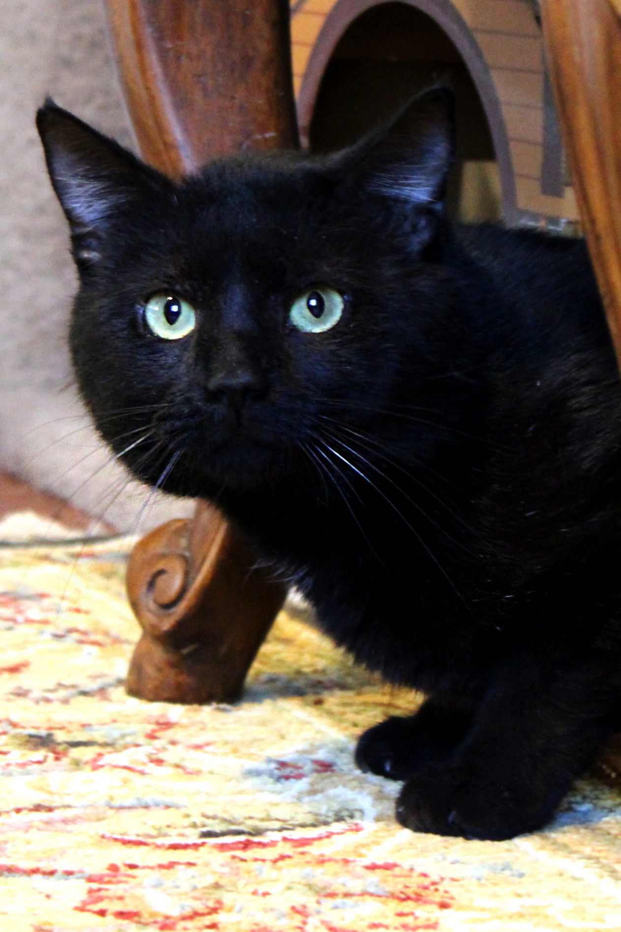 Blackie