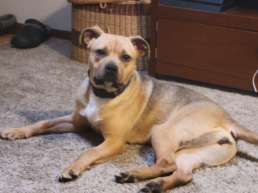 Skye