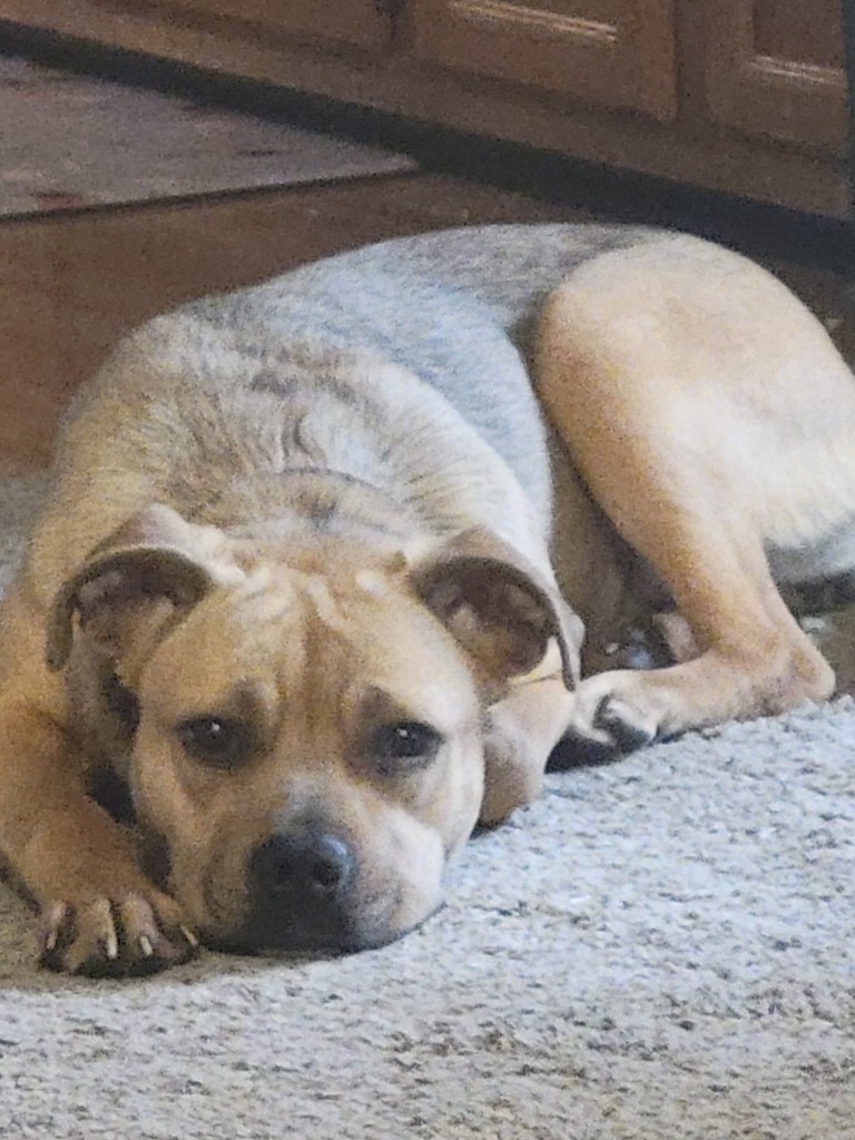 Skye