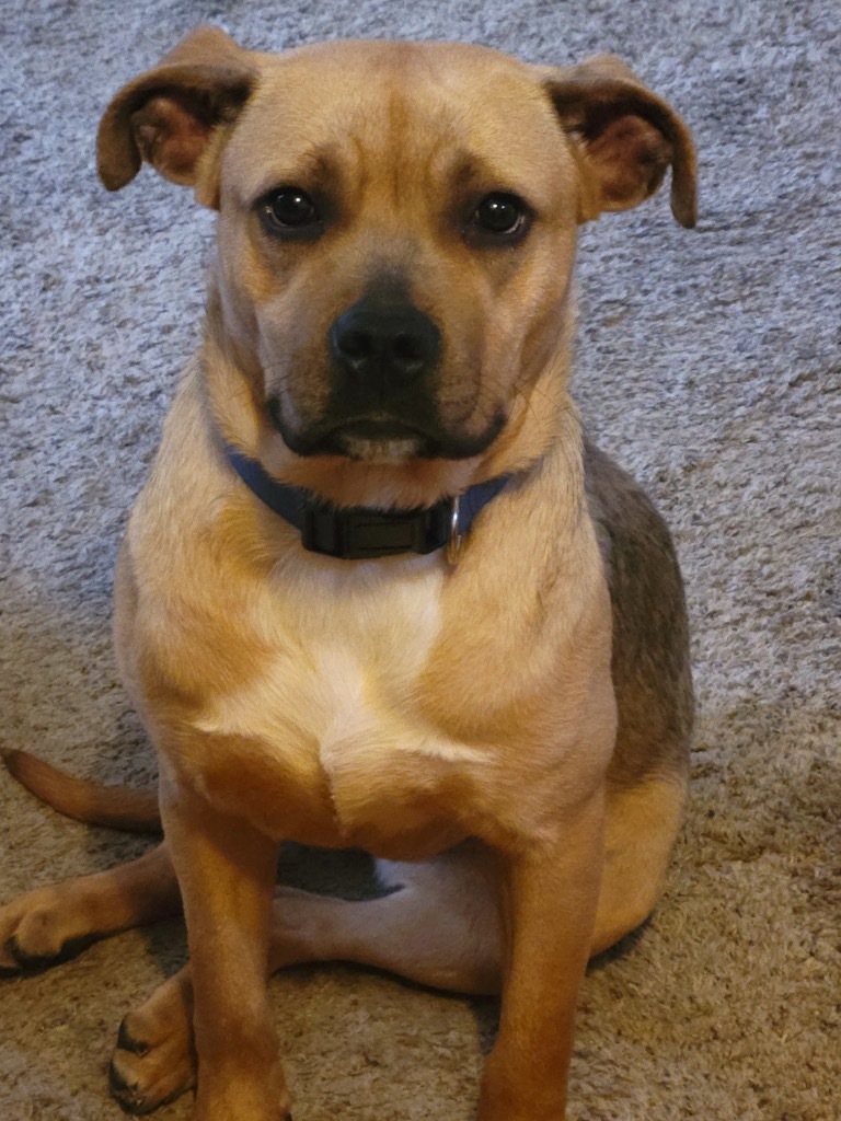 Skye