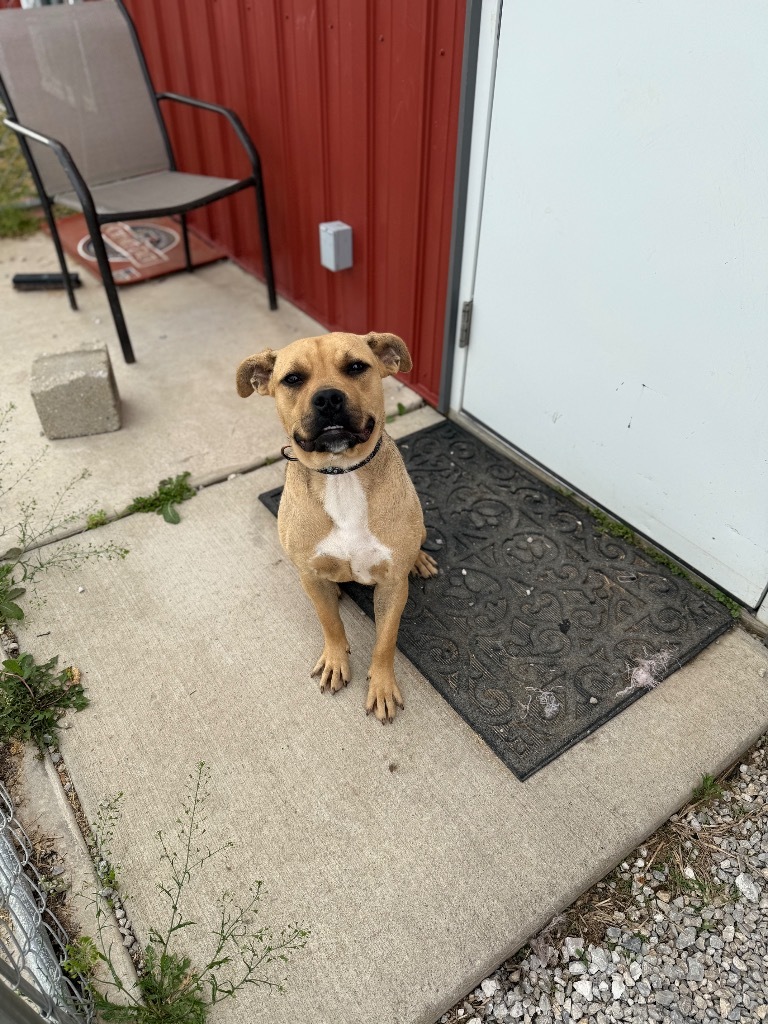 Skye