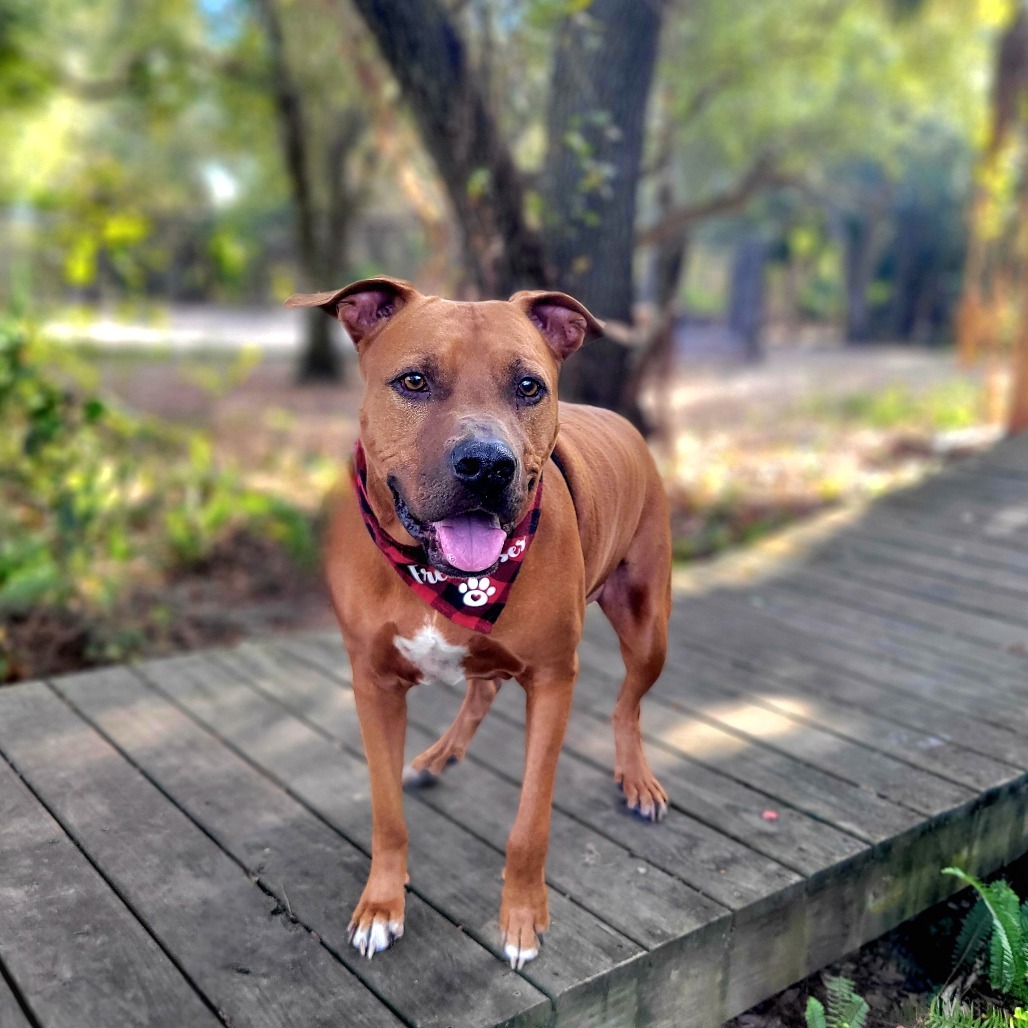 Rusty