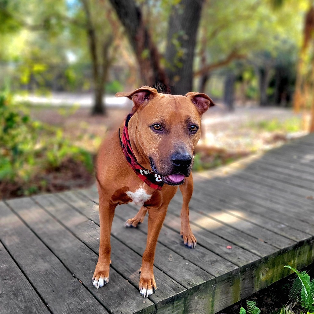Rusty